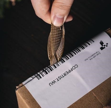 eyoyo barcode scanner manual pdf