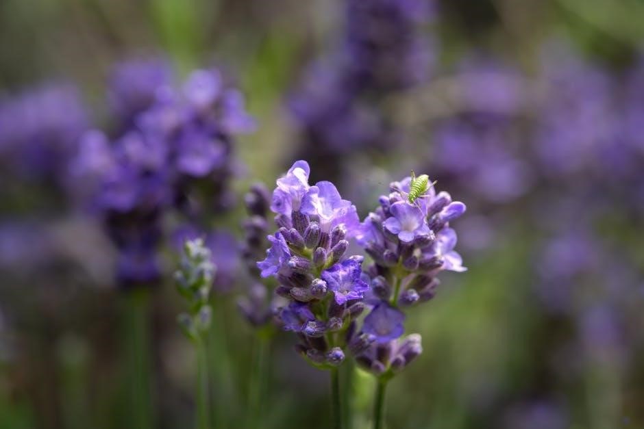 Grasshopper visual data 4